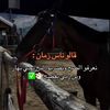 bgoran234