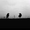 l7ad_