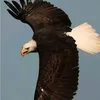 mayemaye1123