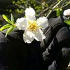 fadwa.fadwa931