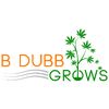 B DUBB GROWS