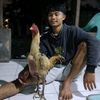 ahmad.m0274