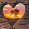 nature.is.beauty88