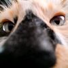 sopita_maruchan319