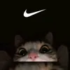 endruw_amg