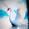 user1083136001711