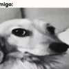 mnrnino011