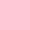 the_flowers026