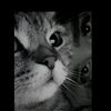 username7_866