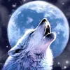bsoi.hoang109
