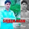 saleem.khan4332