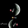 user449075223358545