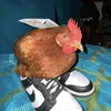 castradin_