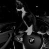 mahdiya_57