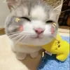 nhinmaj38