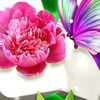 user175400031