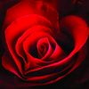 fatma.altuntas8