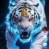 user151698037012