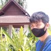 sisore233