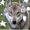 0n_paws124