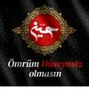 elvin_313.asiq