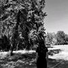 soniqwx_x