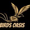 birds.oasis