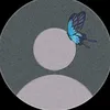 no_o_r_555