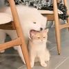 bell_2023aunnewchannel