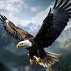 lordoflemon5