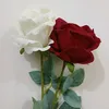 sh78_sh78