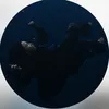 billiewhisperwaves
