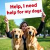 jimanimal_helpingcenter7