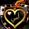 kholoud.bel4