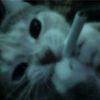 lizbeth_u3