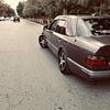 rzayevsamir_019