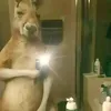 cyb3rrochh