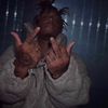 lifeof_freeman12k