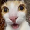 i_need.to.fart
