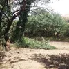 alfonso.vitale7