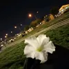 sarahabd58