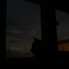 nyzfrm