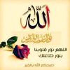shehap.eldeen.ahm
