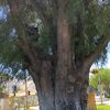 edutlv89