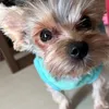jojo0228004