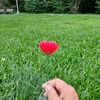user4738265099002
