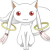 user6553812919452