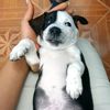 bailemos_87