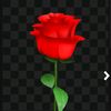 user4528657611461