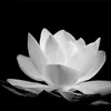 thanhthanh78py